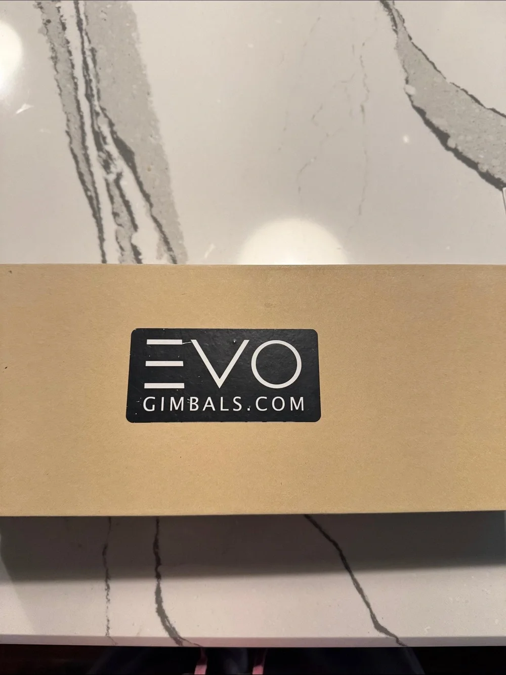 EVO gp go pro stabilizer